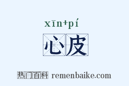 心皮是什么意思的图片